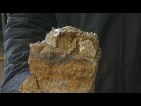 Видео: В чешском Циновце готовятся к добыче лития (новости)
