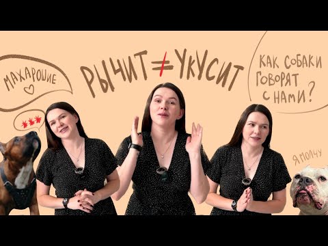 Видео: Язык тела собак. Как понимать собаку?