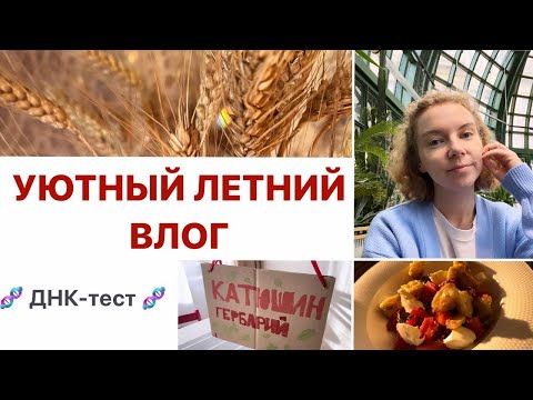 Видео: Летний домашний влог | Результаты ДНК теста, делаем папку для гербария, вечер на кухне, уютная
