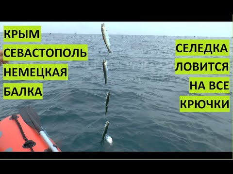 Видео: Рыбалка на Черном море. Севастополь. Селедка на все крючки