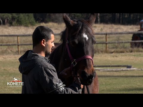 Видео: Най-щастливият конегледач