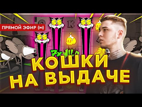 Видео: ОХОТА ЗА ЗАНОСАМИ / РОЗЫГРЫШ / ПИШИ В ЧАТ СЛОТ #shorts #заносынедели