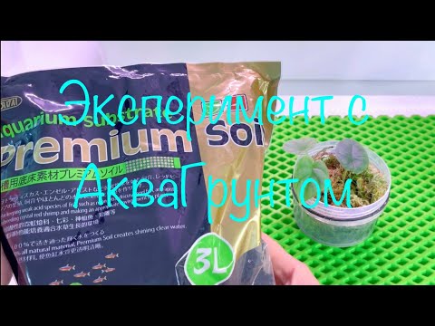 Видео: Посадки в АкваГрунт ( часть первая) 12.03.2024