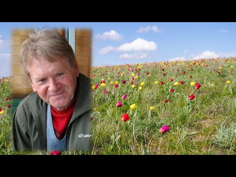 Видео: Сквозь душевную радость и боль...