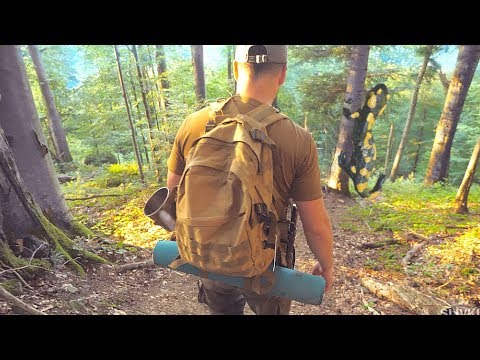 Видео: 24 ЧАСА В ЛЕСУ - БЕЗ ЕДЫ