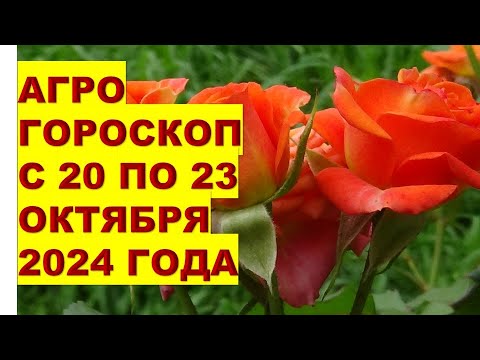 Видео: Агрогороскоп для дачников с 20 по 23 октября 2024. Планируем работы по знакам зодиака