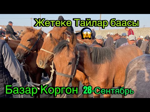 Видео: Жетеке Тайлар кандай болду😱Тез Коробуз Базар Коргон 28-Сентябрь
