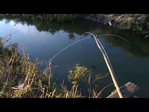 Видео: Рыбалка на паук. ТЛК - Групп. Компания превзошедшая все ожидания.