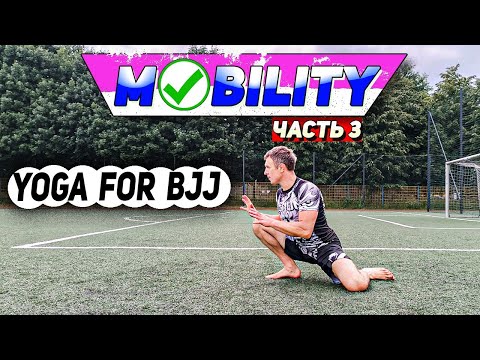 Видео: МОБИЛИТИ ЧАСТЬ 3 / Yoga for BJJ / #bjj #grappling #yoga #mobility #animalflow