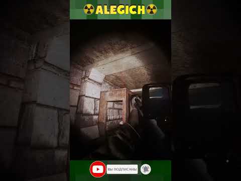 Видео: Это ещё что такое? Прохождение STALKER ANOMALY 1.5.3 GAMMA