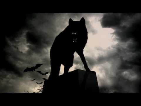 Видео: Wolf's Frend (песня смерть друга)