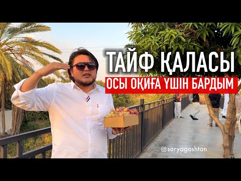 Видео: Таудың үстіндегі Тайф қаласына осы оқиға үшін бардым. 
