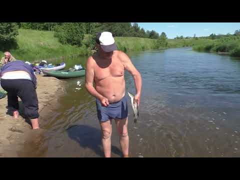 Видео: Нерль клязьминская в июне