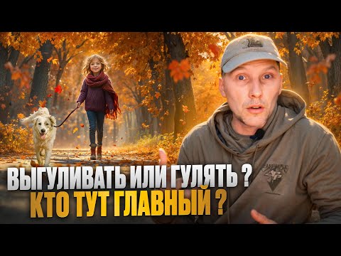Видео: Выгуливать или гулять? Кто тут главный? #НЕдрессировка #воспитаниесобак #домашниепитомцы #собаки