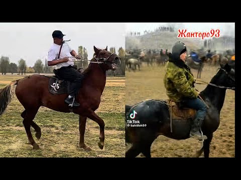 Видео: Оскон акеде Корсике баласы +996-772-910-072 29 октября 2025 г.