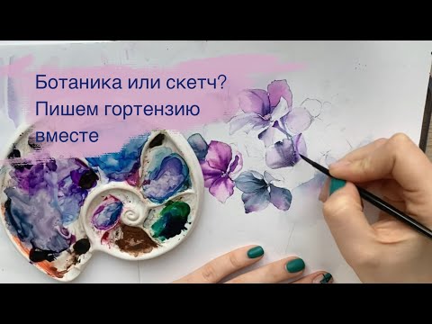 Видео: Объясняю как рисовать гортензию акварелью! Скетч