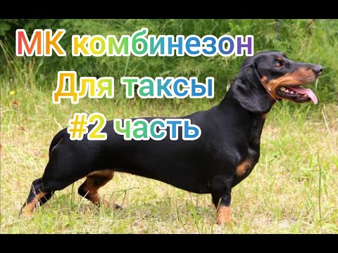 Видео: МК КОМБИНЕЗОН ДЛЯ ТАКСЫ, #2 ЧАСТЬ