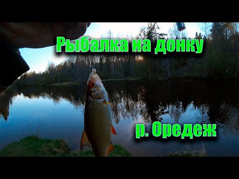 Видео: Рыбалка на донку. река Оредеж.