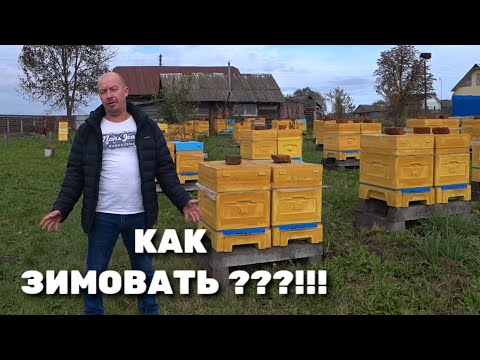 Видео: КАК ЗИМОВАТЬ ???!!!