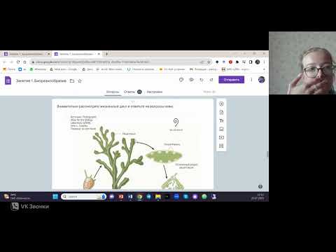 Видео: Олимпиадная подготовка по ботанике, лекция 2