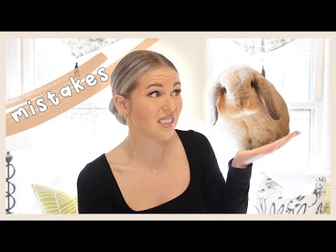 Видео: Все, чего я не знал о кроликах