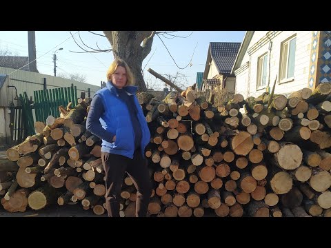 Видео: Ціна на дрова в Хмельницькій області в 2025 році