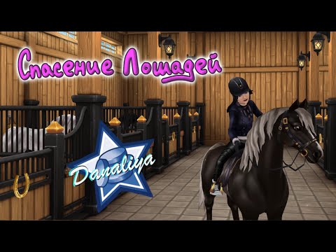 Видео: Скупаем Морганов 2 поколения |Star Stable Online|