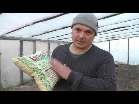 Видео: Как улучшить истощённую почву. Это нужно сделать осенью!