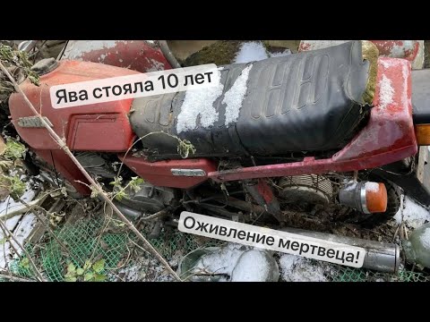 Видео: НАШЛИ НА УЛИЦЕ ЗАБЫТУЮ ЯВУ/JAWA. КУПИЛИ ЗА БУТЫЛКУ САМОГОНА. ОЖИВЛЕНИЕ МЕРТВЕЦА!