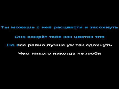 Видео: Дельфин - любовь, КАРАОКЕ, +1 полутон