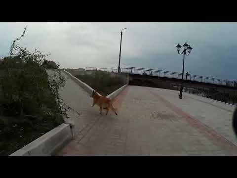 Видео: Бахмут. Забахмутка, набережна, центр.