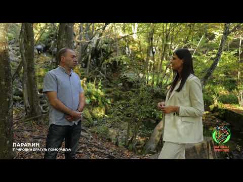 Видео: Влада Вучковић - Врело Грзе 14.10.2024.