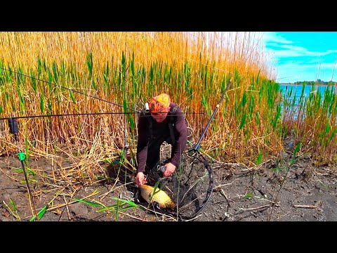 Видео: ПАРОВОЗИЩЕ !!! РЫБАЛКА С ЖЕНОЙ НА ДОНУ !!!