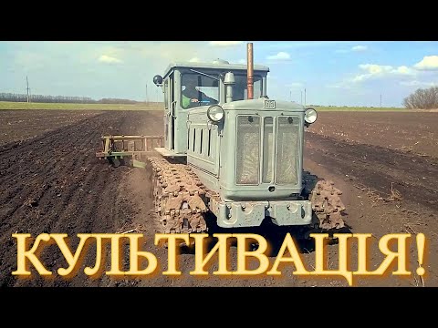Видео: Трактор Т-74 КУЛЬТИВАЦІЯ !