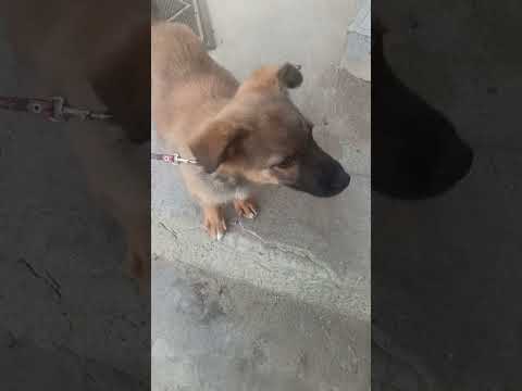 Видео: Осенний денёк 