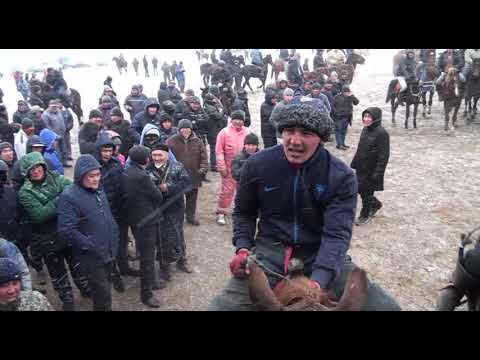 Видео: Көкпар Шұбарсу ауылы. Қаракөсе руы.Бақыт , Нақыптың тойы 12.11.2018 (2 бөлім)