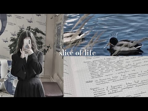 Видео: ✧˚ LIFE DIARIES | школа, фотосессия, подготовка к экзаменам