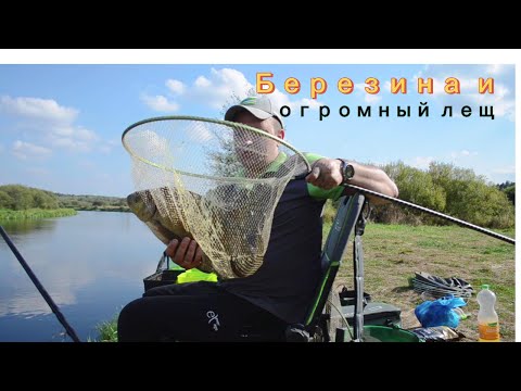 Видео: Березина и огромный лещ