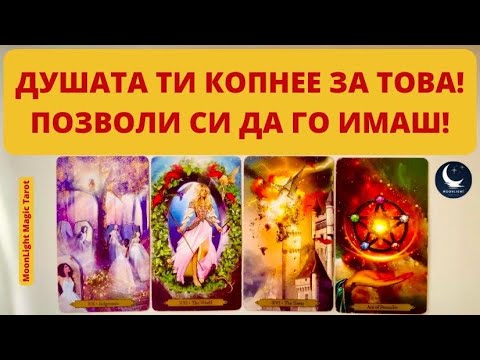 Видео: 💫❤️💫ДУШАТА ТИ КОПНЕЕ ЗА ТОВА! ПОЗВОЛИ СИ ДА ГО ИМАШ! | Timeless ✨