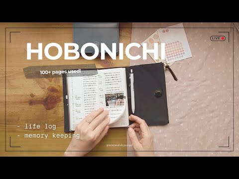 Видео: Недели Хобоничи МЕГА — мой спутник жизни | Отмечаем достижение отметки в 100+ страниц