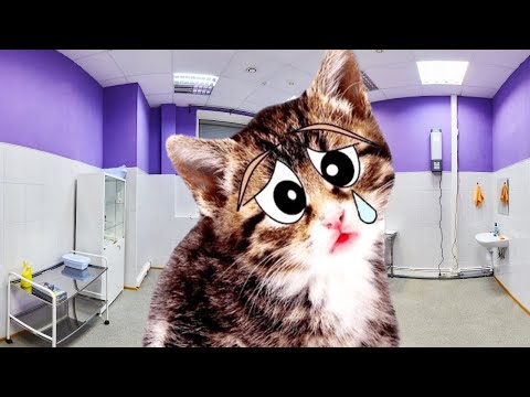Видео: ПЕРЕЛИВАНИЕ КРОВИ!!! НЕ БОЙСЯ, Аврора! Аниса тебя СПАСЁТ!