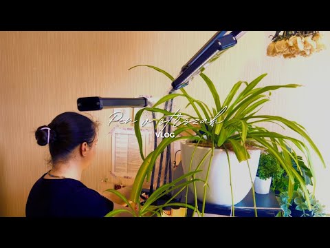 Видео: #34 Болтательное видео о покупках, цветах и еде | Влог