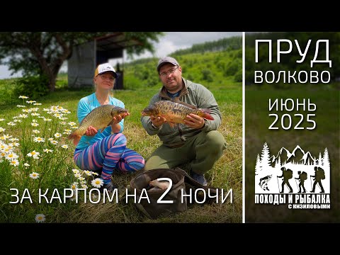 Видео: ОНИ ПРИШЛИ К НАМ НОЧЬЮ и МЫ ЛИШИЛИСЬ СНА!  ЧАСТЬ 2
