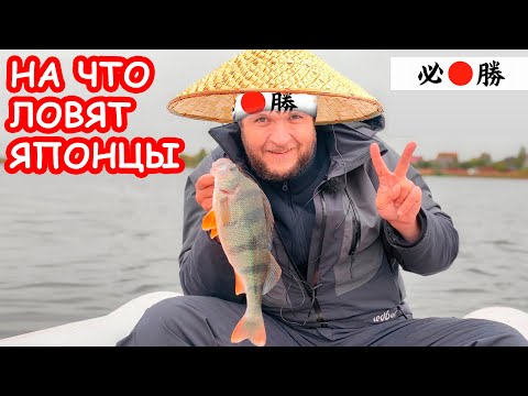 Видео: НА ЧТО ЛОВЯТ ЯПОНЦЫ. СНАСТИ ДЛЯ РЫБАЛКИ В ЯПОНИИ