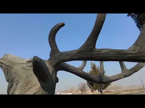 Видео: Скульптура Олень из арт бетона сваими руками