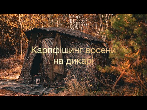 Видео: Карпфішинг восени на дикарі