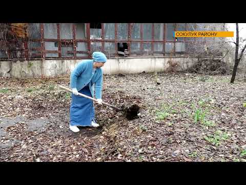 Видео: Сөөлжан багуу - жеңил жана кирешелүү бизнес