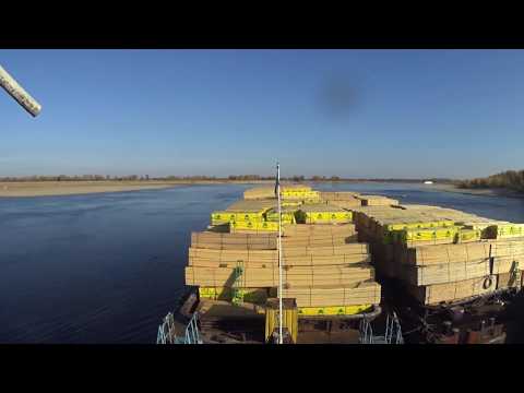 Видео: Коршевитая воложка