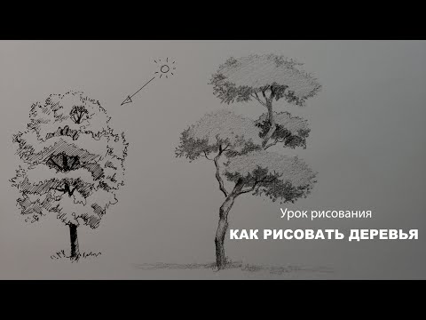 Видео: как нарисовать дерево поэтапно как нарисовать дерево