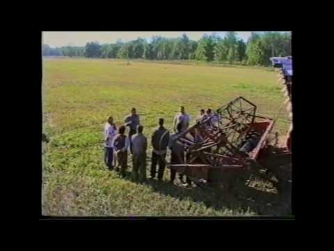Видео: Чишме в Старом Атлаше